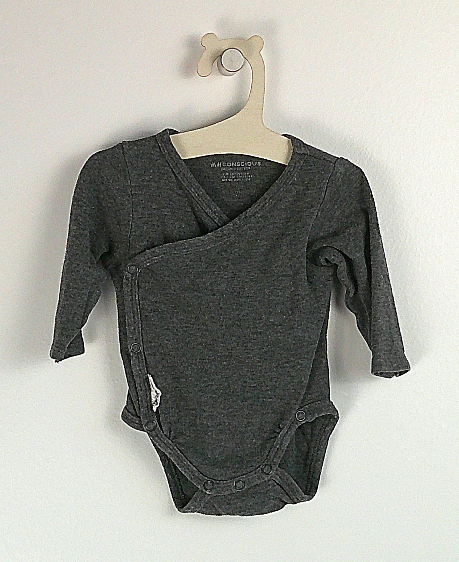 Body